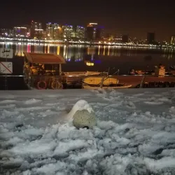 Chitgar Forest Park - Pardis