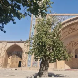 Jameh Mosque of Qazvin - Qazvin