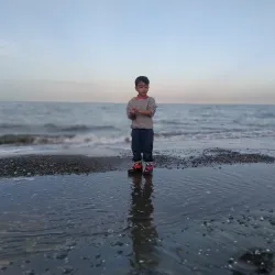 Vali Asr Park - Ramsar