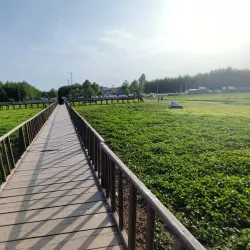 Anzali Lagoon (near Rasht) - Rasht