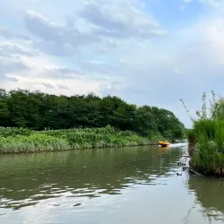 Anzali Lagoon (near Rasht) - Rasht