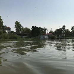 Anzali Lagoon (near Rasht) - Rasht