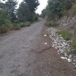 Sardar Jangal Park - Rasht