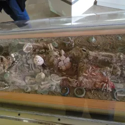 Sanandaj Museum - Sanandaj