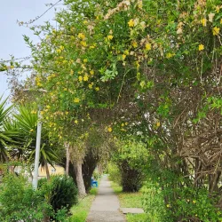 Mazandaran University Campus - Sari