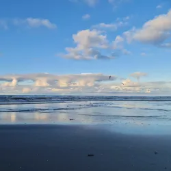 Noshahr Forests (near Sari) - Sari