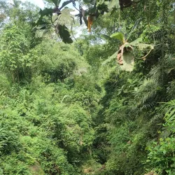 Sari Waterfall - Sari