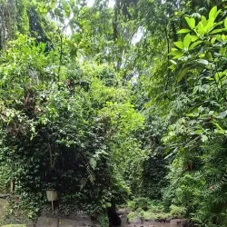 Sari Waterfall - Sari