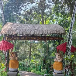 Sari Waterfall - Sari