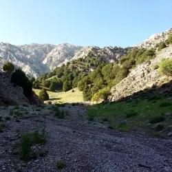 Shirvan Park - Shirvan