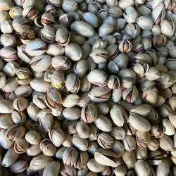 Pistachio Orchards - Sīrjān