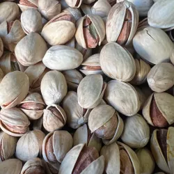 Pistachio Orchards - Sīrjān