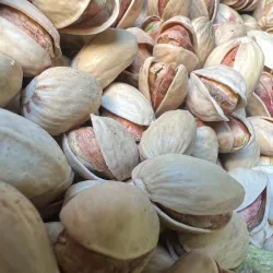 Pistachio Orchards - Sīrjān