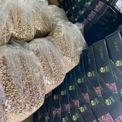 Pistachio Orchards - Sīrjān