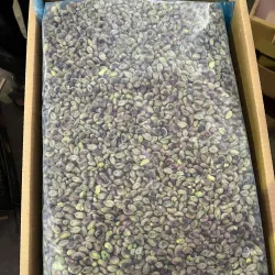 Pistachio Orchards - Sīrjān