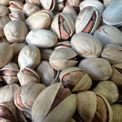 Pistachio Orchards - Sīrjān