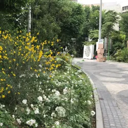 Laleh Park - Tehran