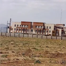 Torbat-e Heydariyeh Cultural Center - Torbat-e Heydariyeh