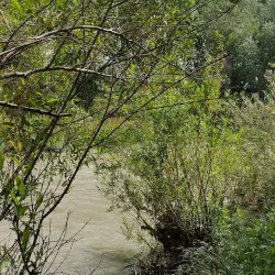 Baranduz River - Urmia