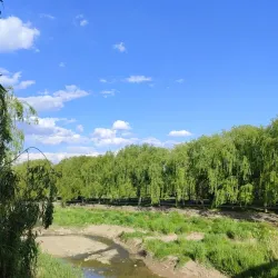 Shahrdari Park - Urmia