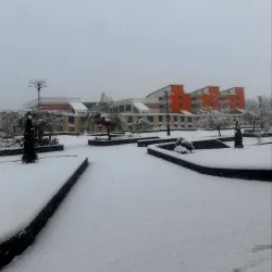 Urmia University - Urmia