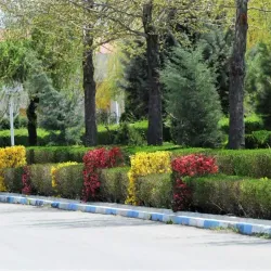 Urmia University - Urmia