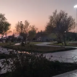 Zabol University Botanical Garden - Zabol