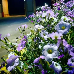 Zabol University Botanical Garden - Zabol