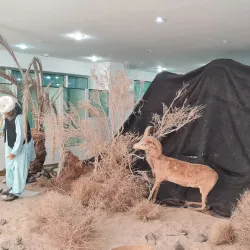 Sistan and Baluchestan Museum - Zahedan