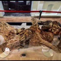 Zanjan Museum of Anthropology - Zanjan