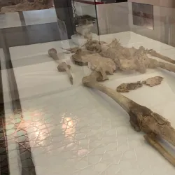 Zanjan Museum of Anthropology - Zanjan