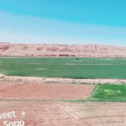 Salah ad Din Museum (in nearby Tikrit) - Ad-dujayl