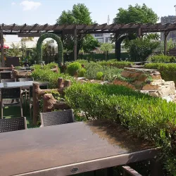 Traditional Iraqi Cuisine in Local Restaurants - Ad-dujayl