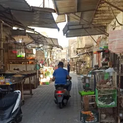 Al-'Amarah Market - Al-'amarah