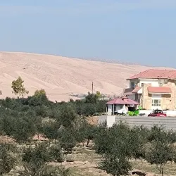 Local Traditional Restaurants - Al-'amarah