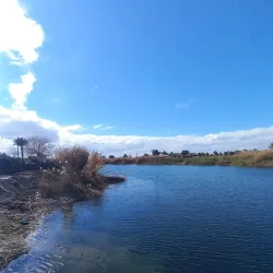 Euphrates River - Al Fallujah