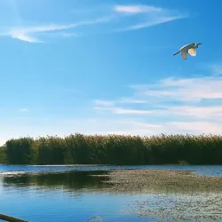 Euphrates River - Al Fallujah