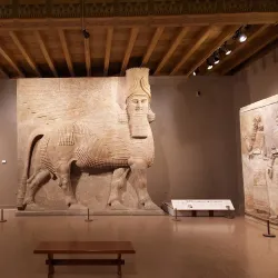 Agricultural Fields and Rural Landscapes - Al Hayy