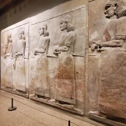 Agricultural Fields and Rural Landscapes - Al Hayy