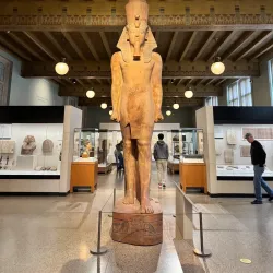 Agricultural Fields and Rural Landscapes - Al Hayy