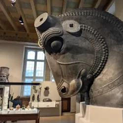 Agricultural Fields and Rural Landscapes - Al Hayy