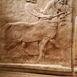 Agricultural Fields and Rural Landscapes - Al Hayy