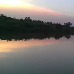 Al Hayy Local Market - Al Hayy