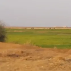 Al Hayy Local Market - Al Hayy