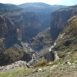 Nearby Natural Reserves and Wildlife Areas - Al Hayy