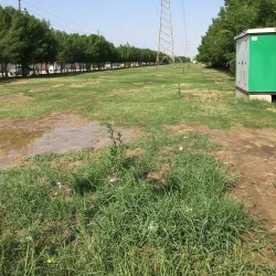 Al Hillah Public Park - Al Hillah