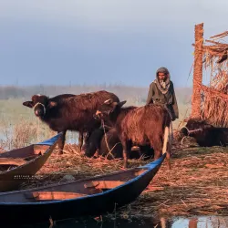 Marshlands of Mesopotamia - Al Hillah