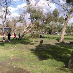 Marshlands of Mesopotamia - Al Hillah