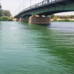 Al Kufah Bridge - Al Kufah