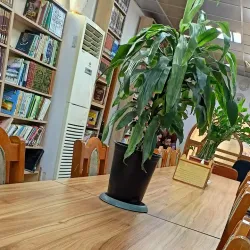 Al Kufah Historical Library - Al Kufah